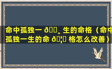 命中孤独一 🌸 生的命格（命中孤独一生的命 🦅 格怎么改善）